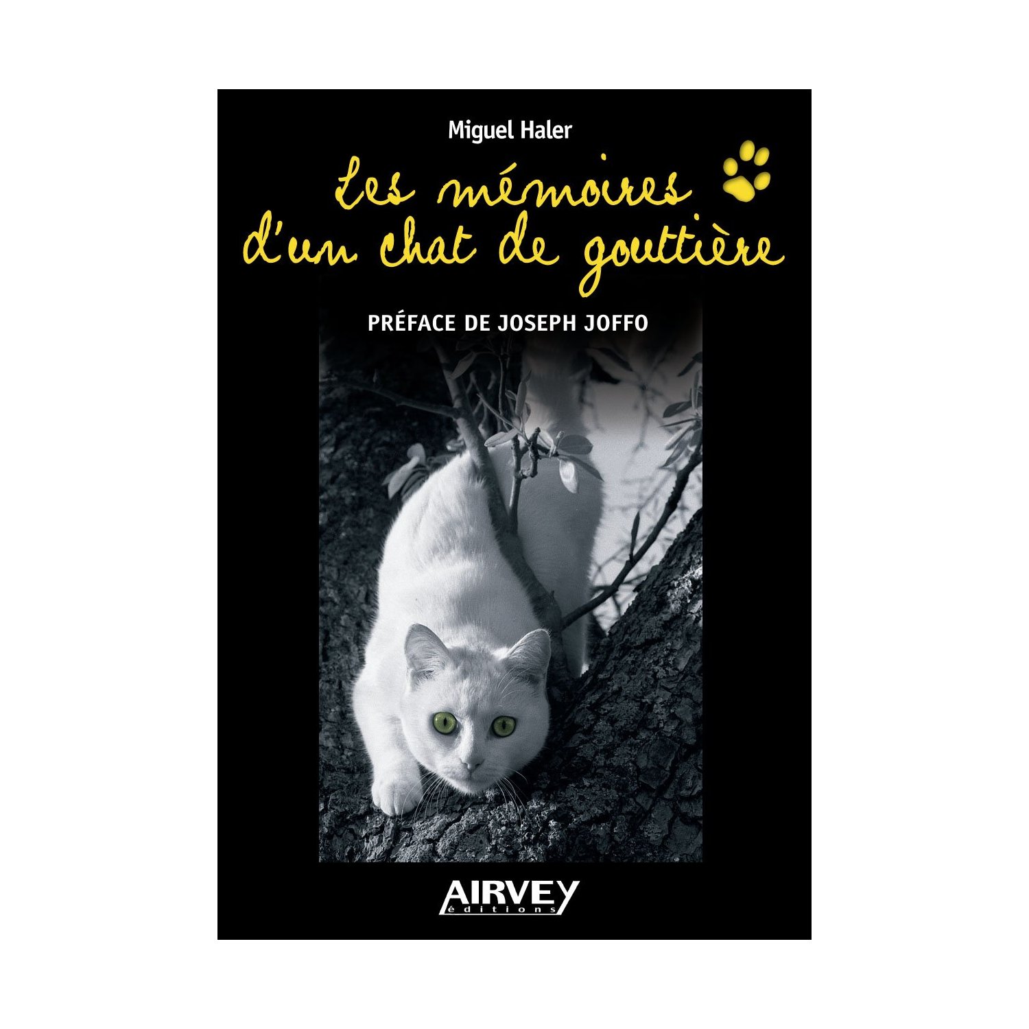 Les mémoires d'un chat de gouttière